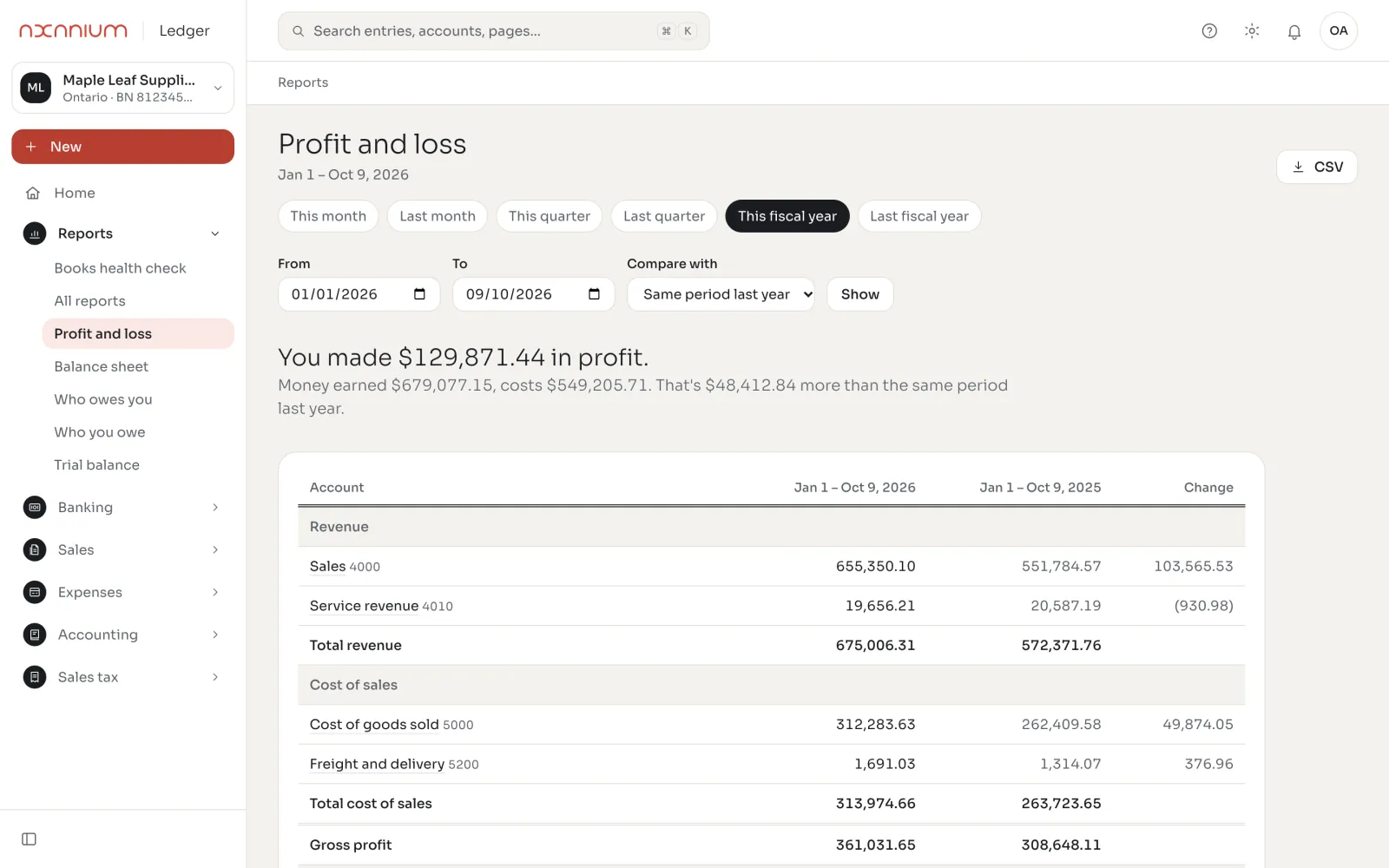 AxLedger profit and loss statement